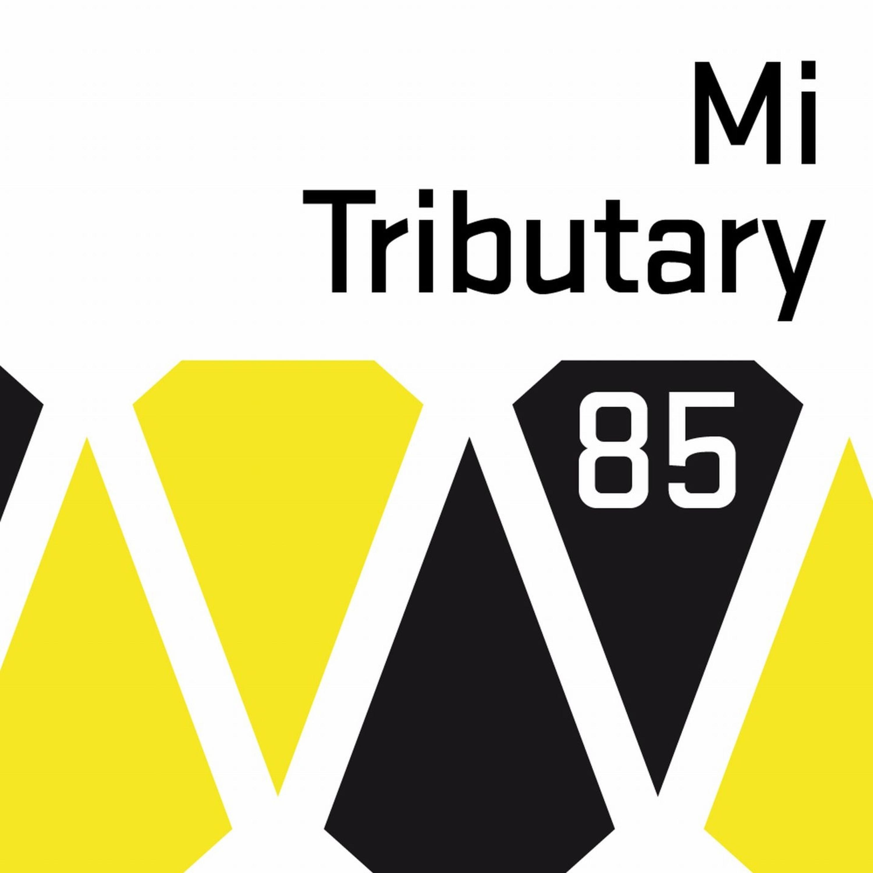 Snakeface (Original Mix)