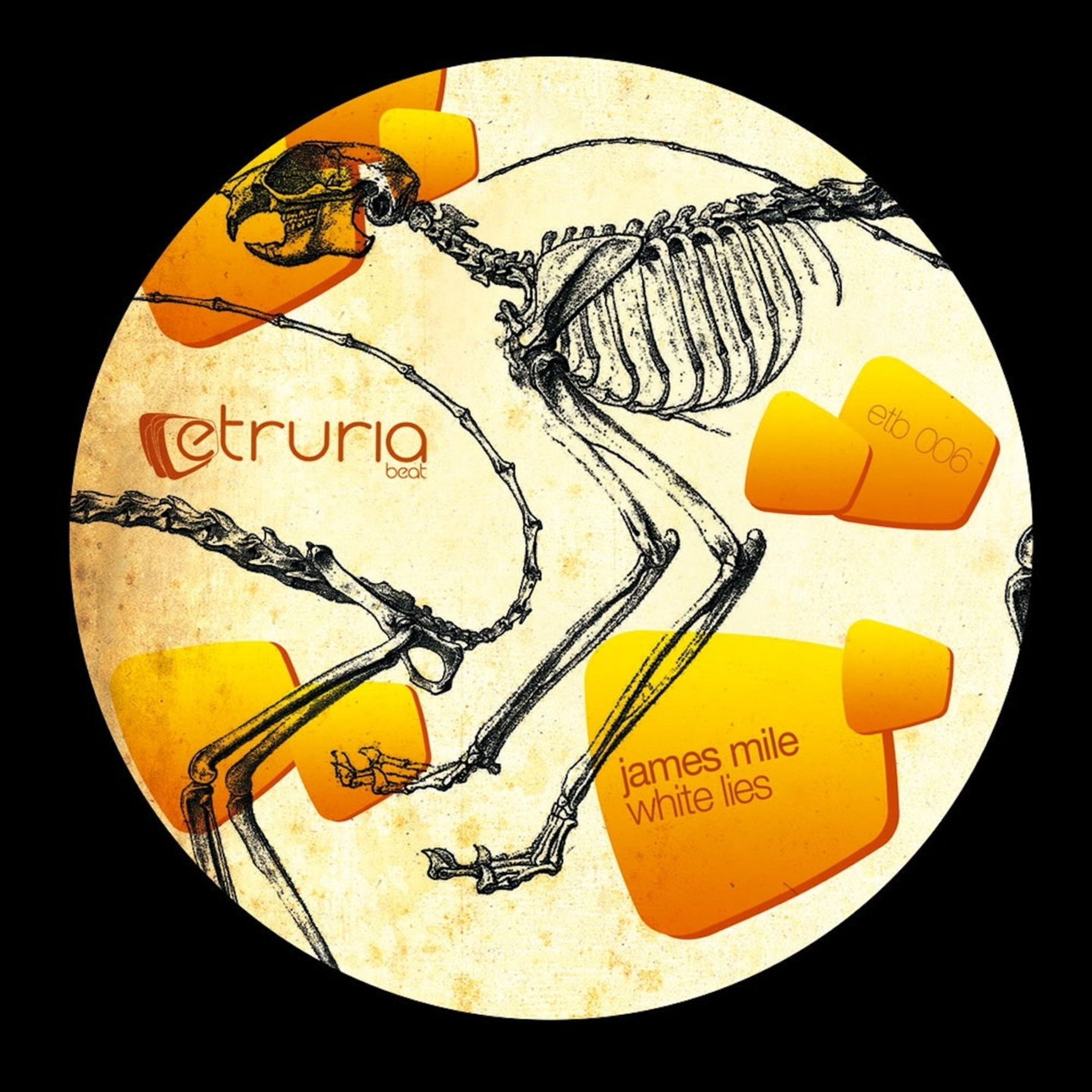 Never Known (Ultrasone Remix)