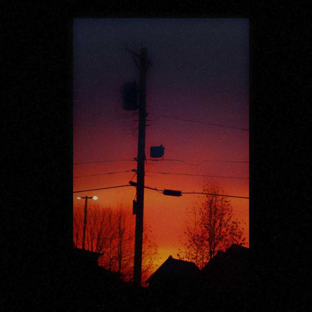 The Birds Won't Stop Singing