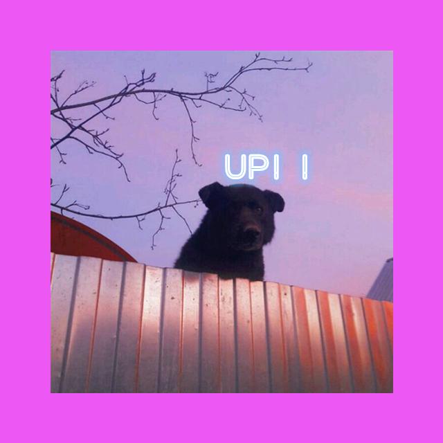 zhi xiang he ni zai yi qi