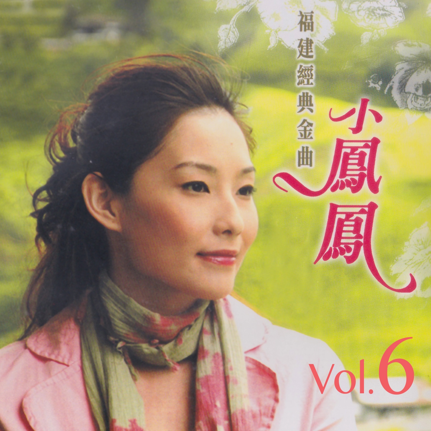 xiao feng feng fu jian jing dian jin qu, Vol. 6