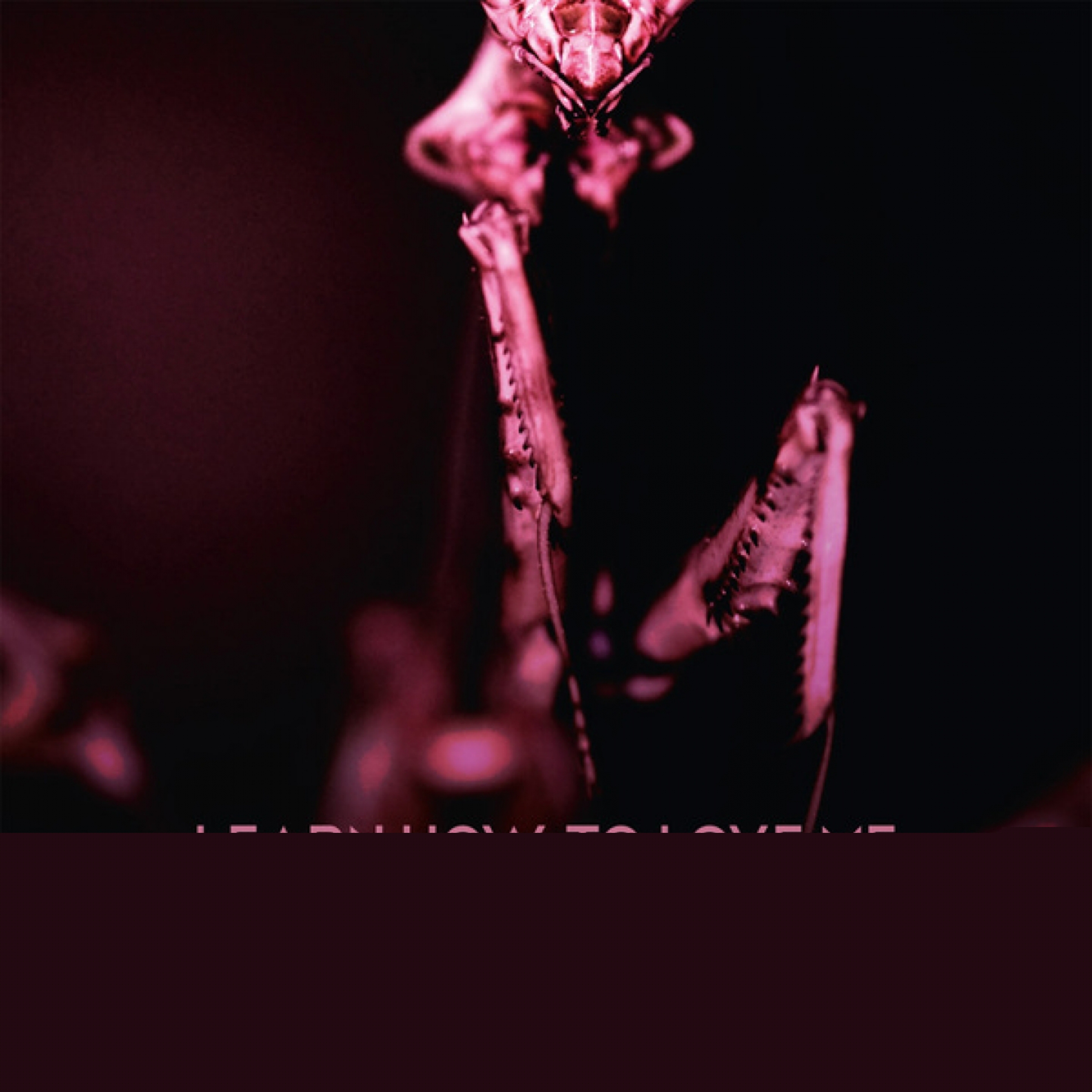 Learn How To Love Me