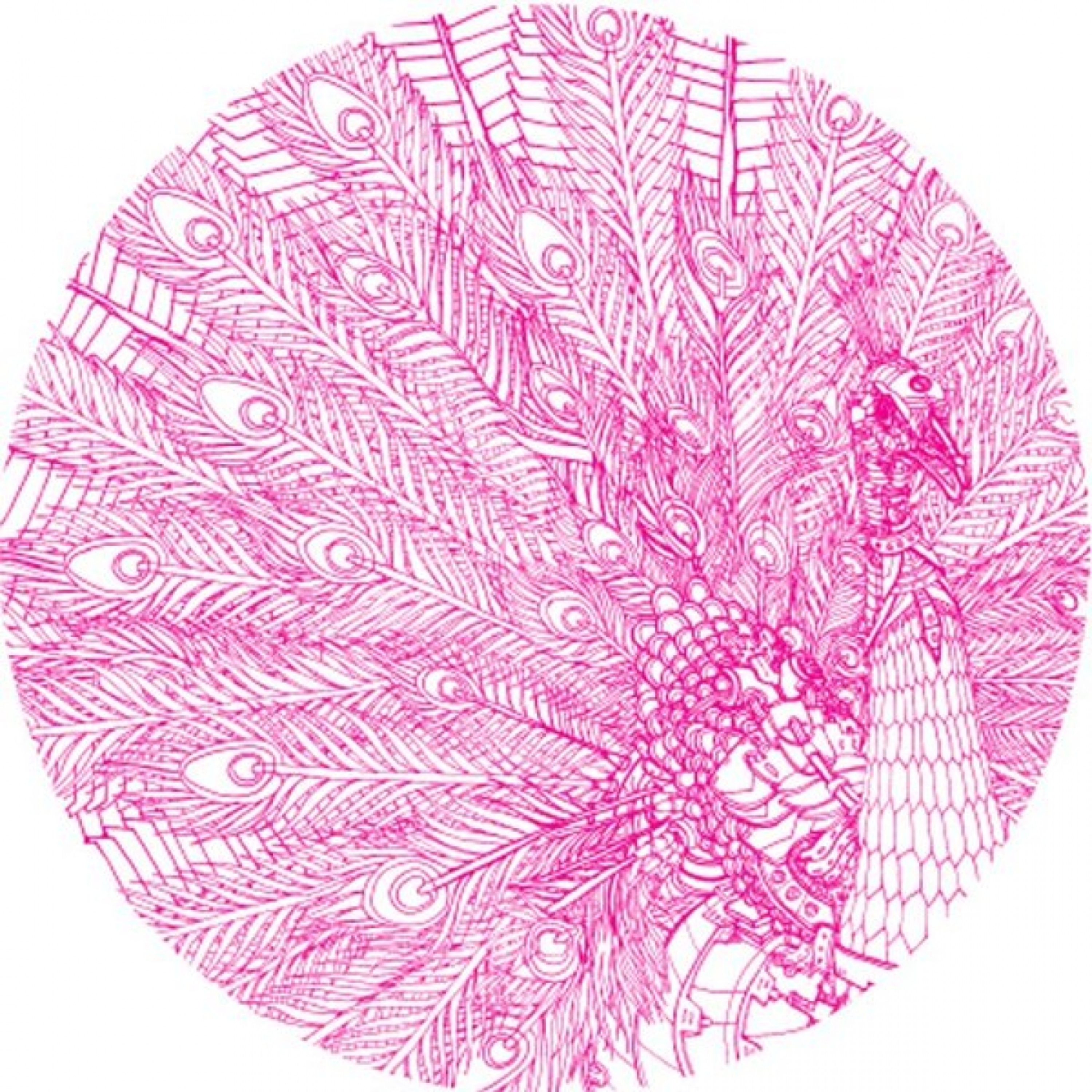 The Blind Busker feat. Los Updates (Original)