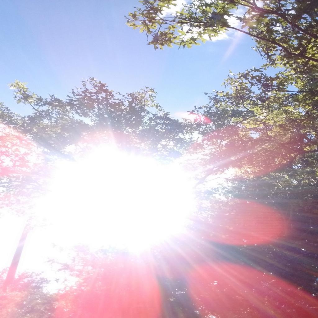 It Don't Mean a Thing