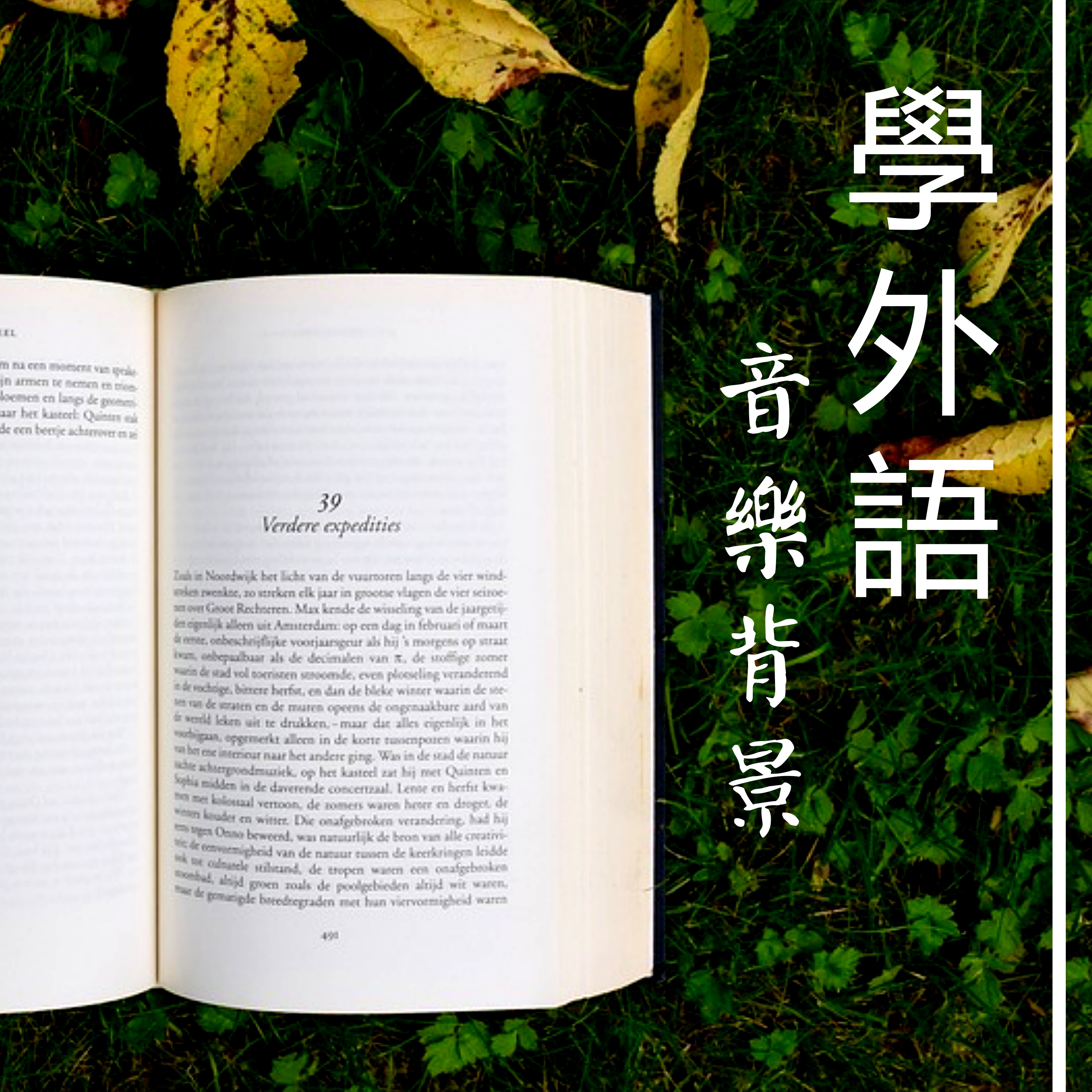 da zi ran he gang qin