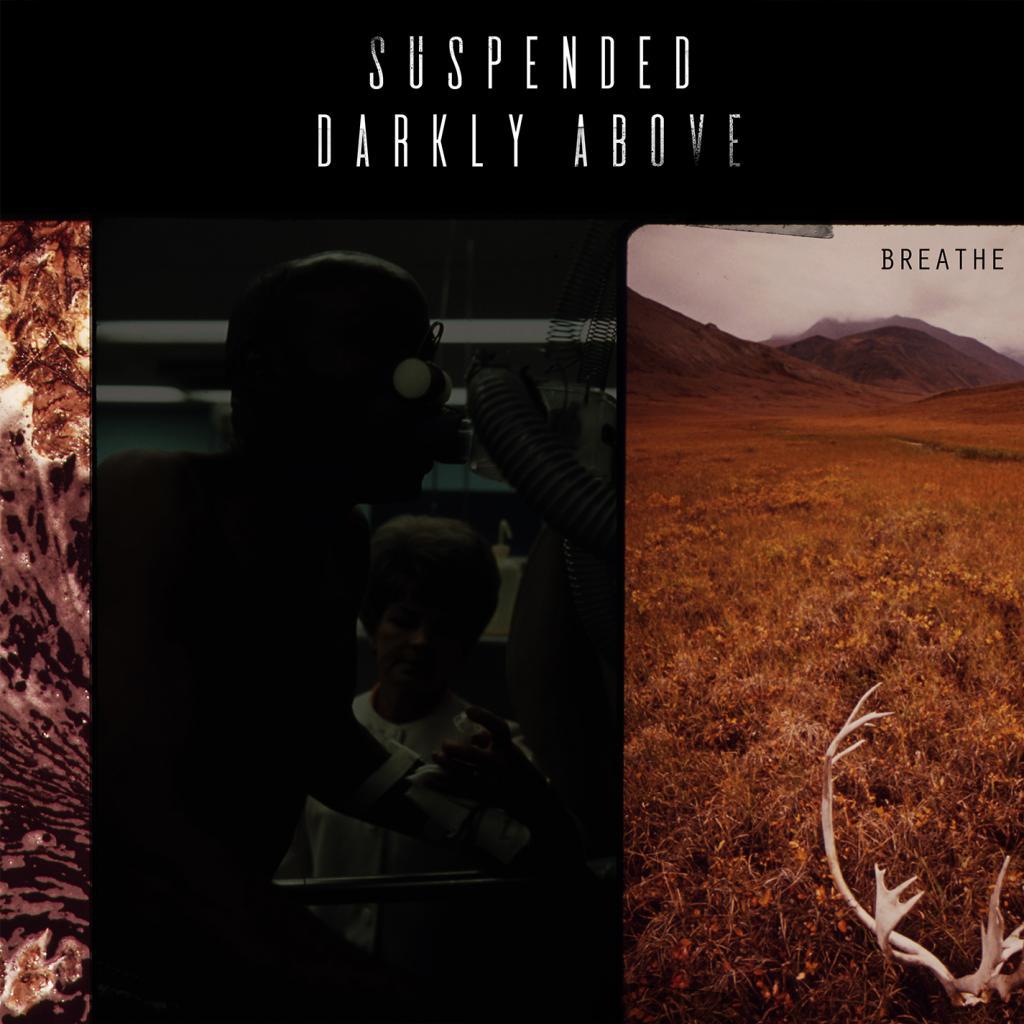 My Life Should Not Feel Like This