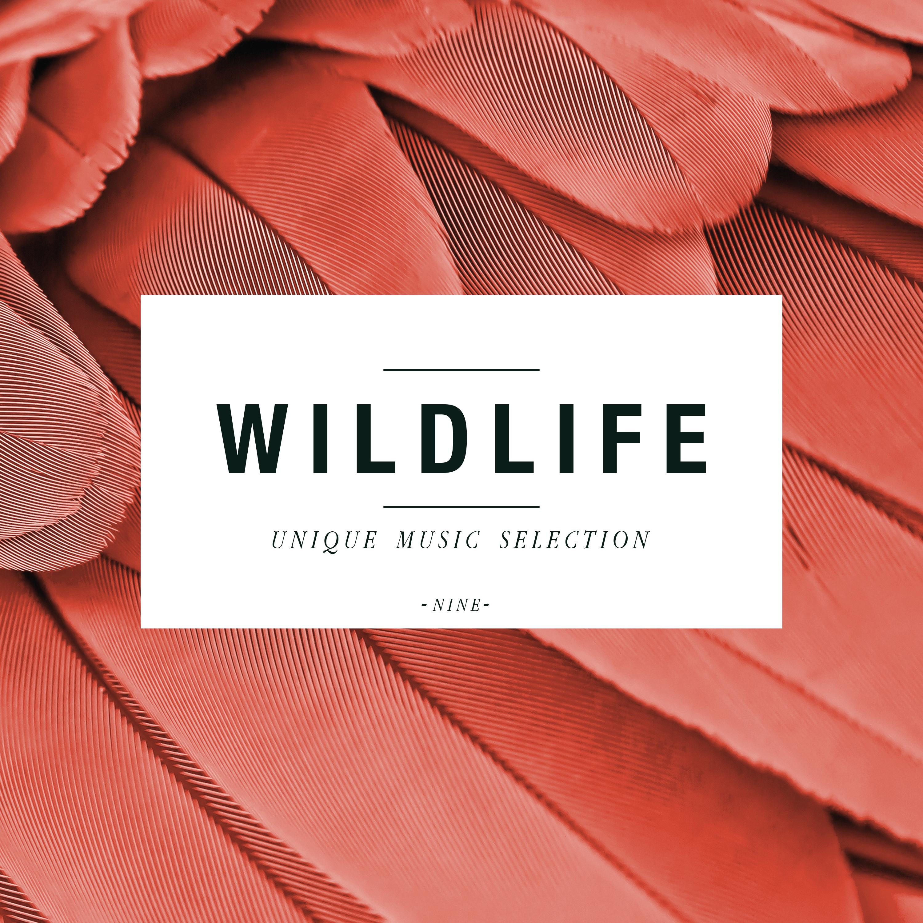 Wildlife - Unique Music Selection, Vol. 9