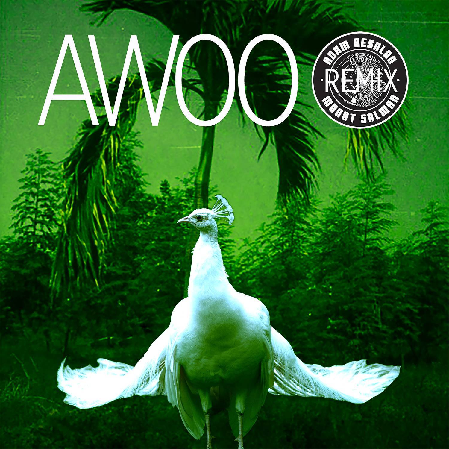 Awoo (Adam Aesalon & Murat Salman Remix)