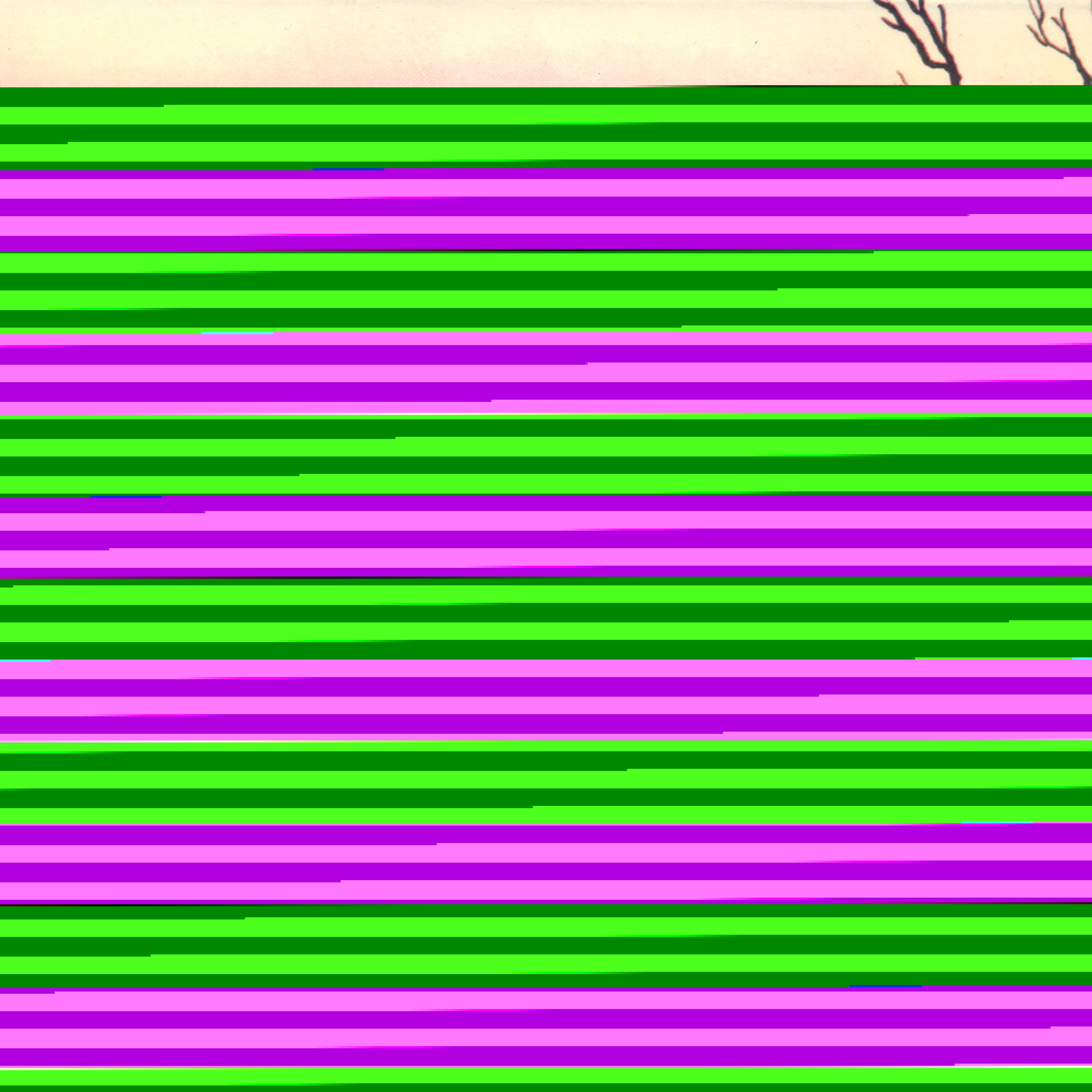 Where Have All The Flowers Gone (The Countrymen)