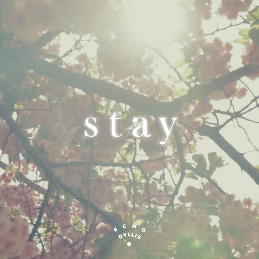 Stay