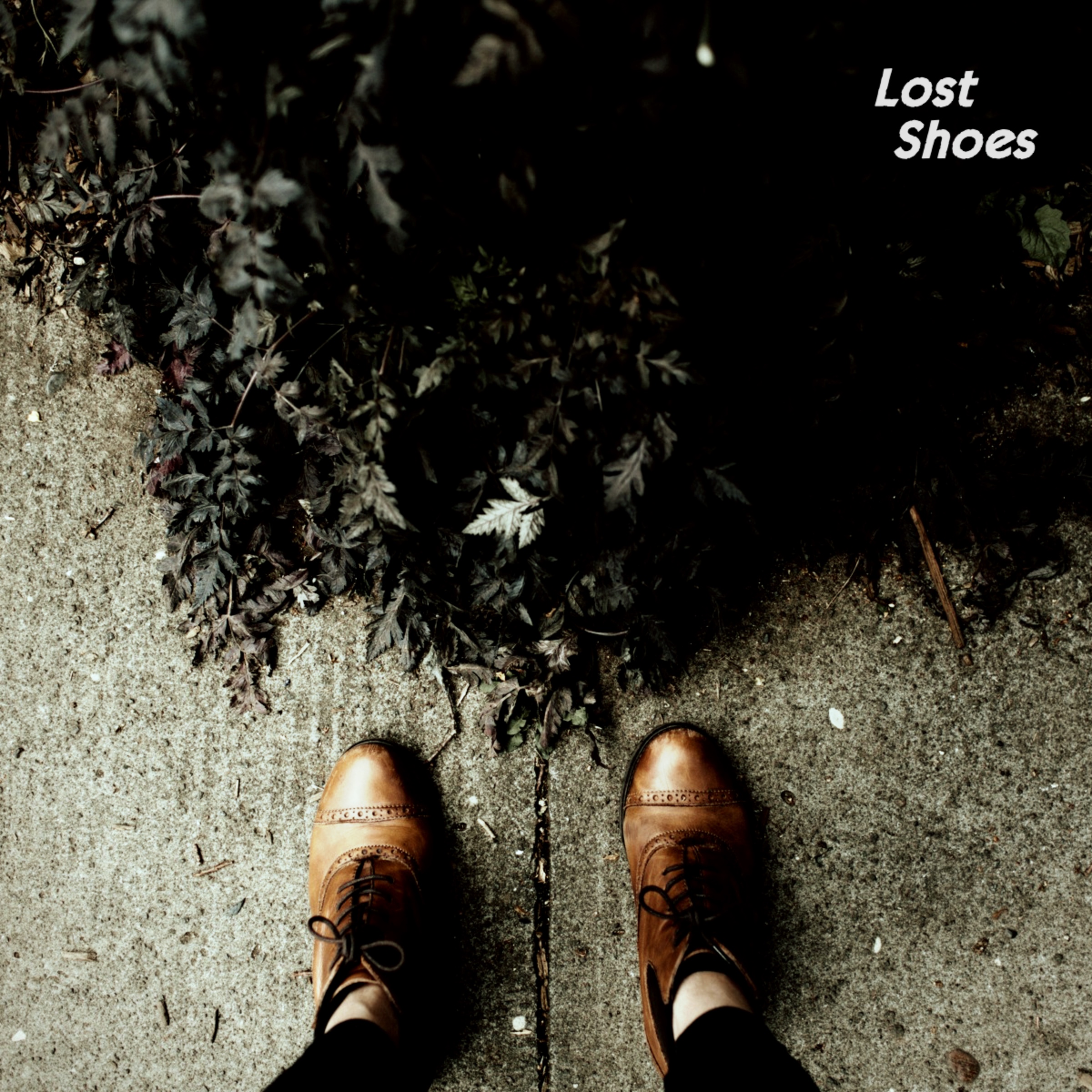 Lost Shoes