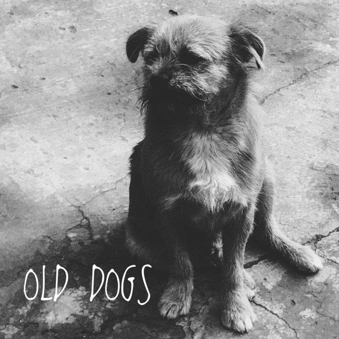 Fighting!Go fighting!