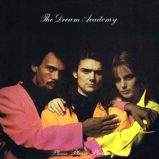 The Party (Acoustic Version) - unplug