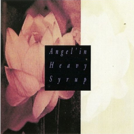 Why Don't You Take a Sightseeing Bus With Me?