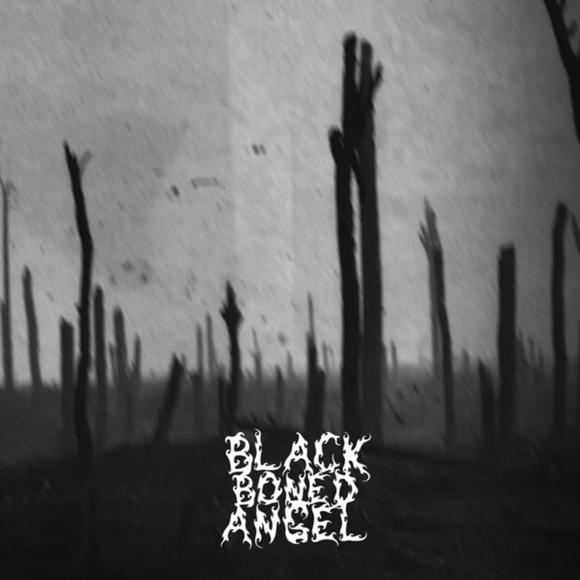 Prayer Sodden Holes - Tears Strike The Mile High Gong - Creeping Barrage