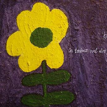 Ninna Nanna Alla Regina