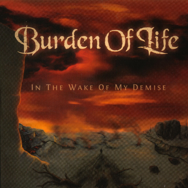 In The Wake of My Demise