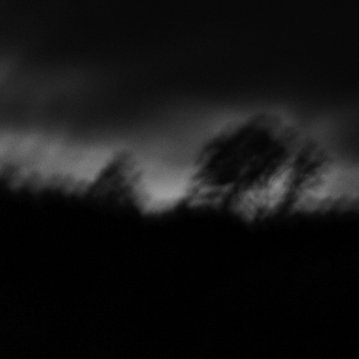 Voices (fragment #1)