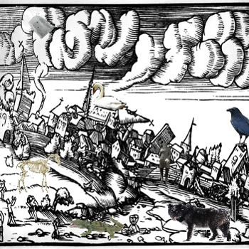 I saw a swan and it had your face