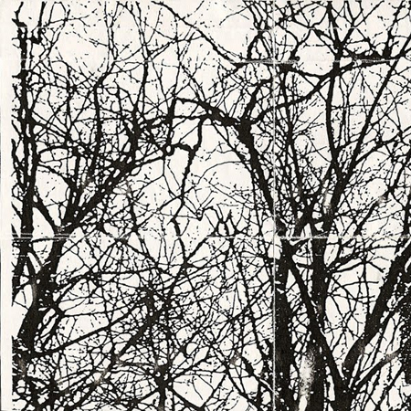 Andante Maestoso Attacca: Molto Forza - Quasi Moderato Grave -Molto Presto Forza