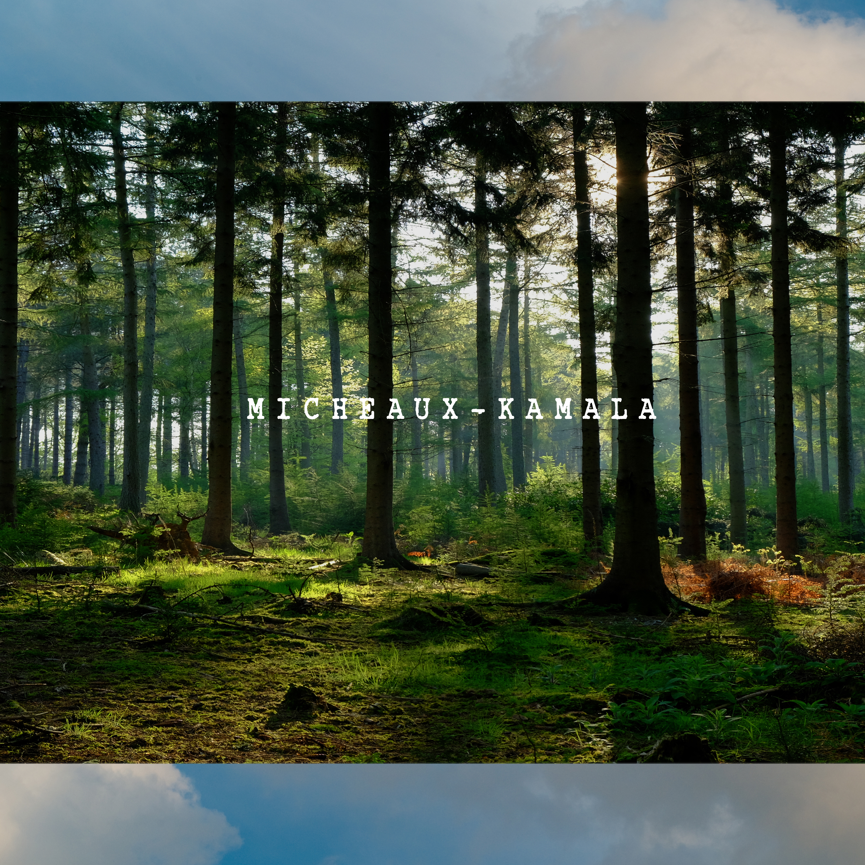 Thanks for the Chalice Dub