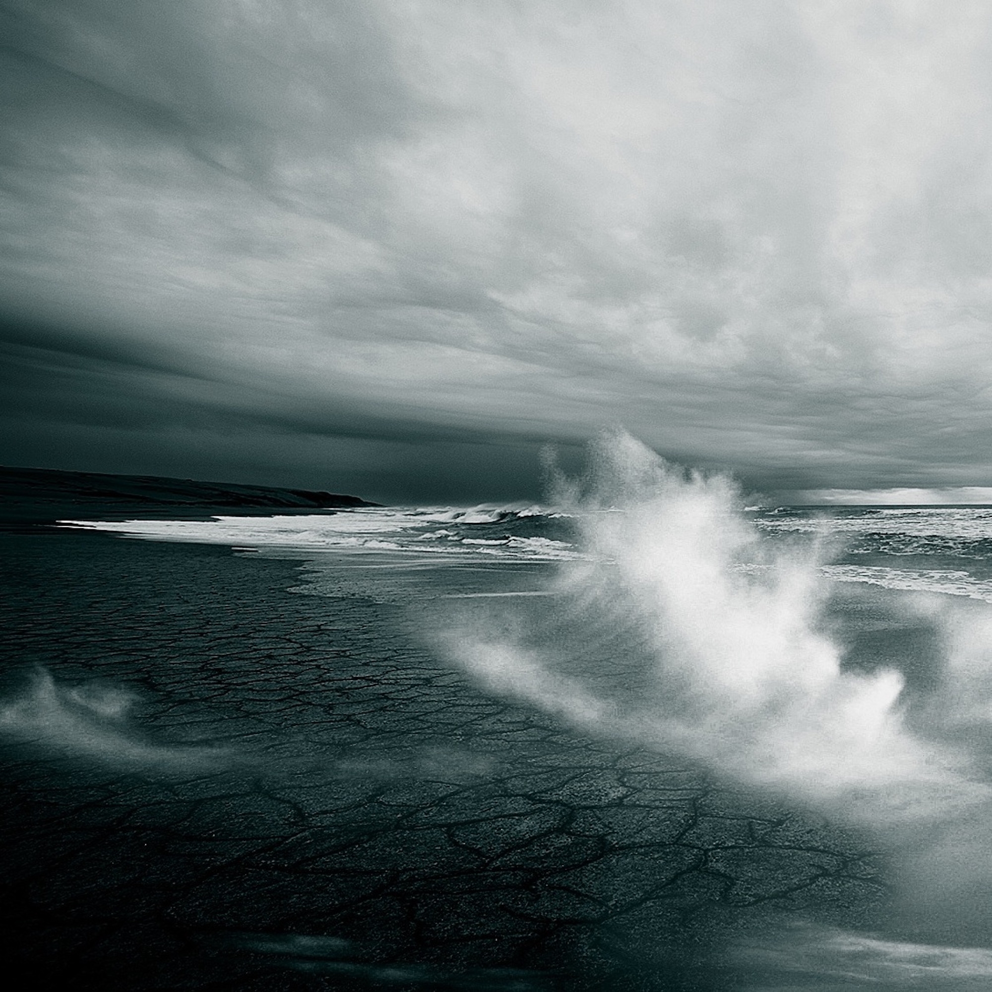 Todos gastaben boina