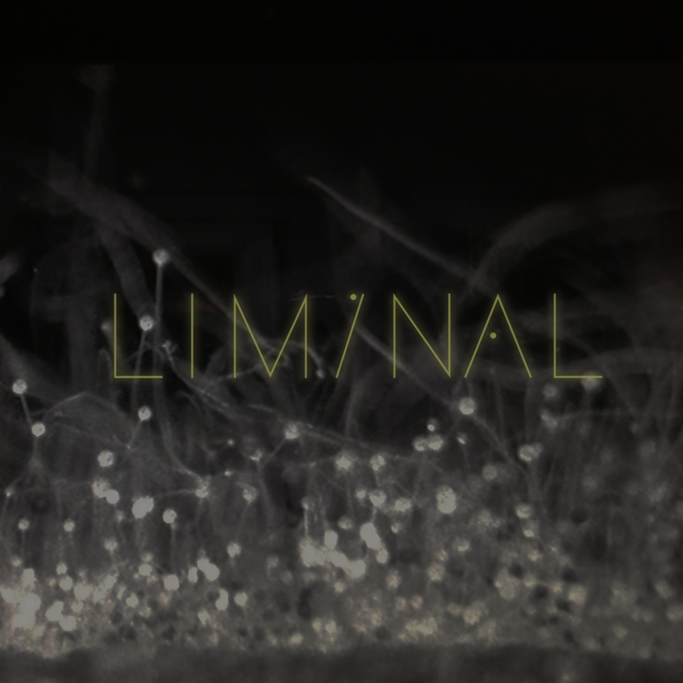Varu Liminal Remix