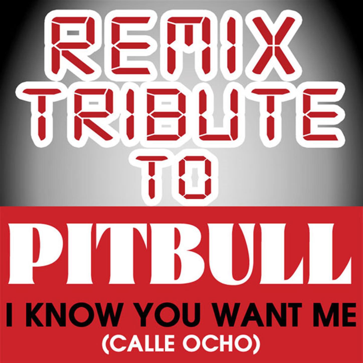 I Know You Want Me (calle Ocho)