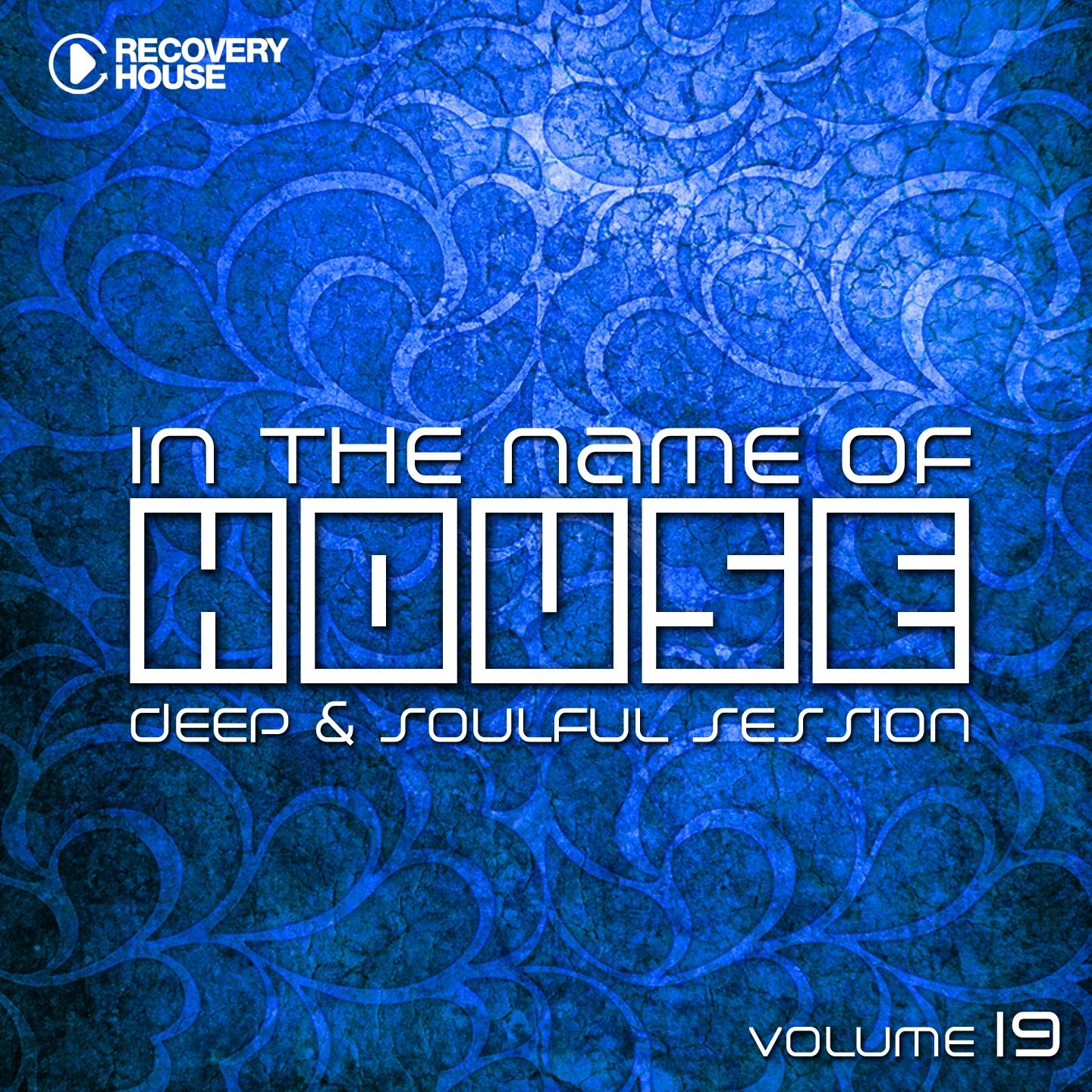 In The Name Of House, Vol. 19