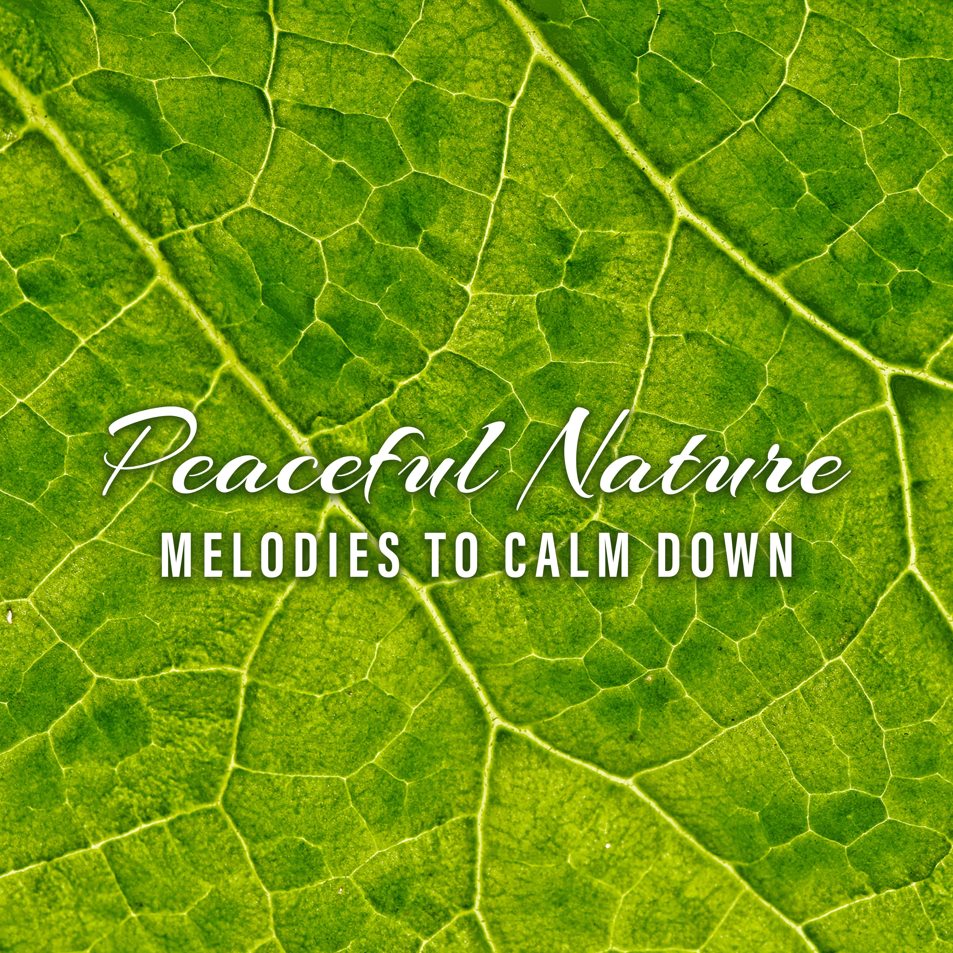 Peaceful Nature Melodies to Calm Down