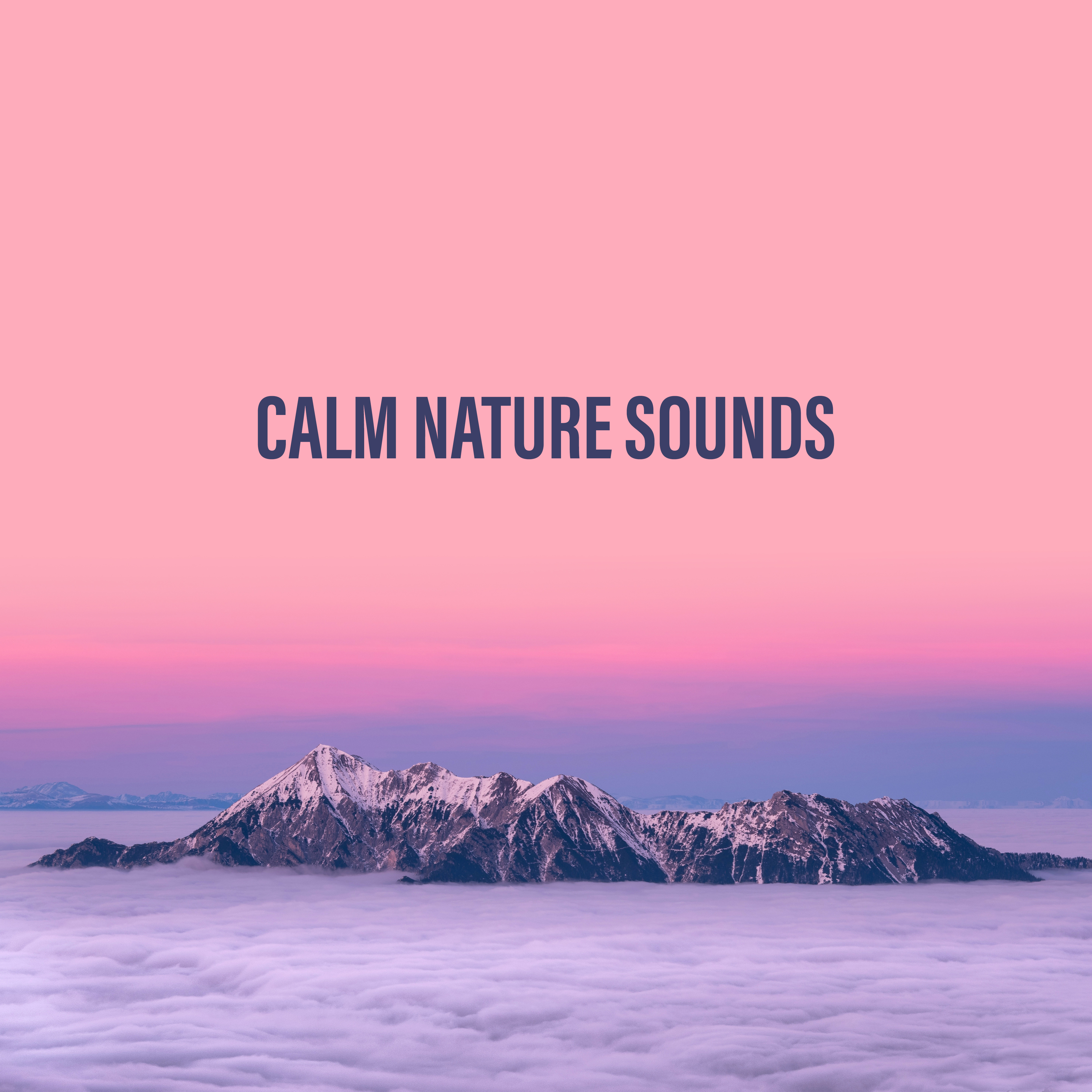 Calm Nature Sounds