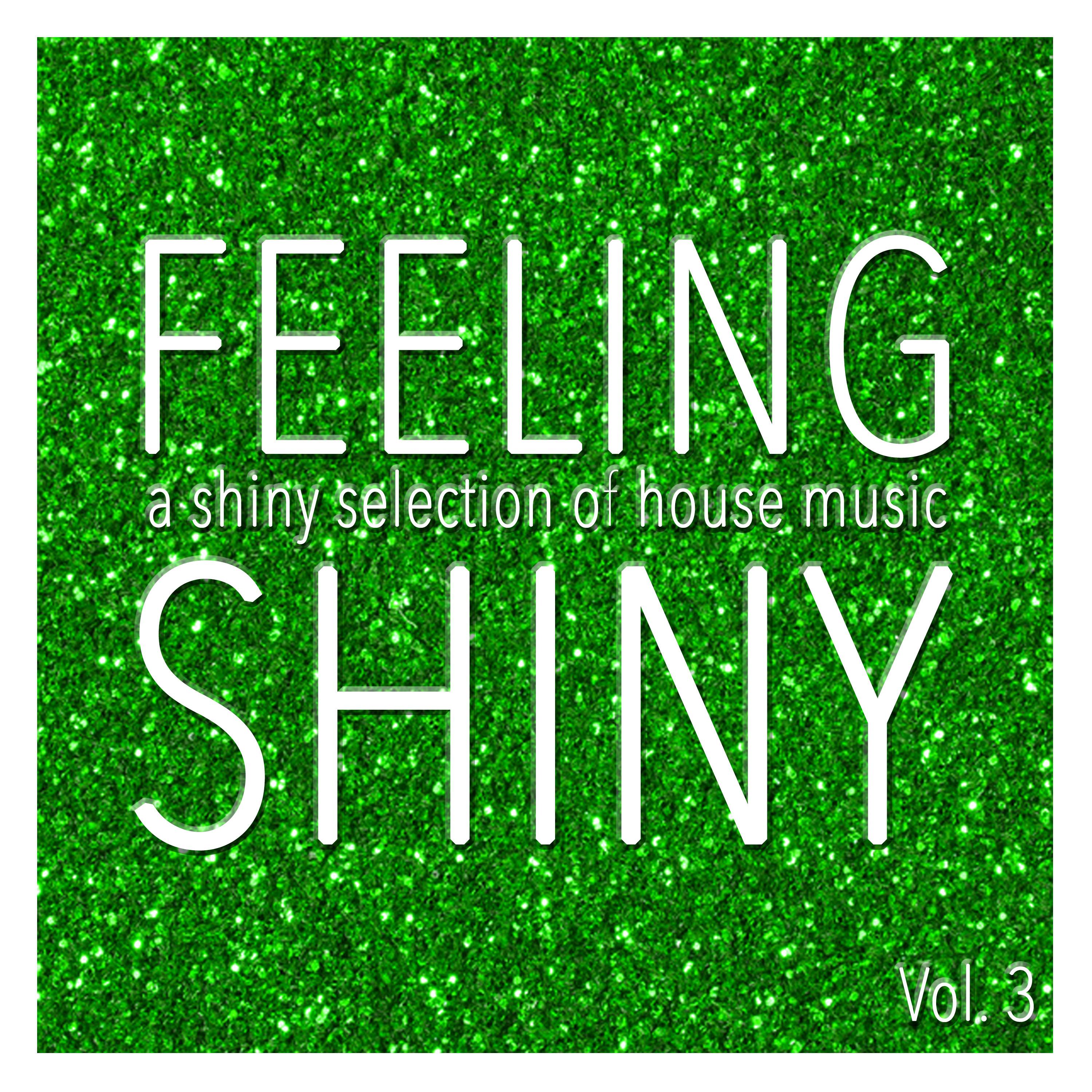 Feeling Shiny, Vol. 3 - Shiny Selection of House Music