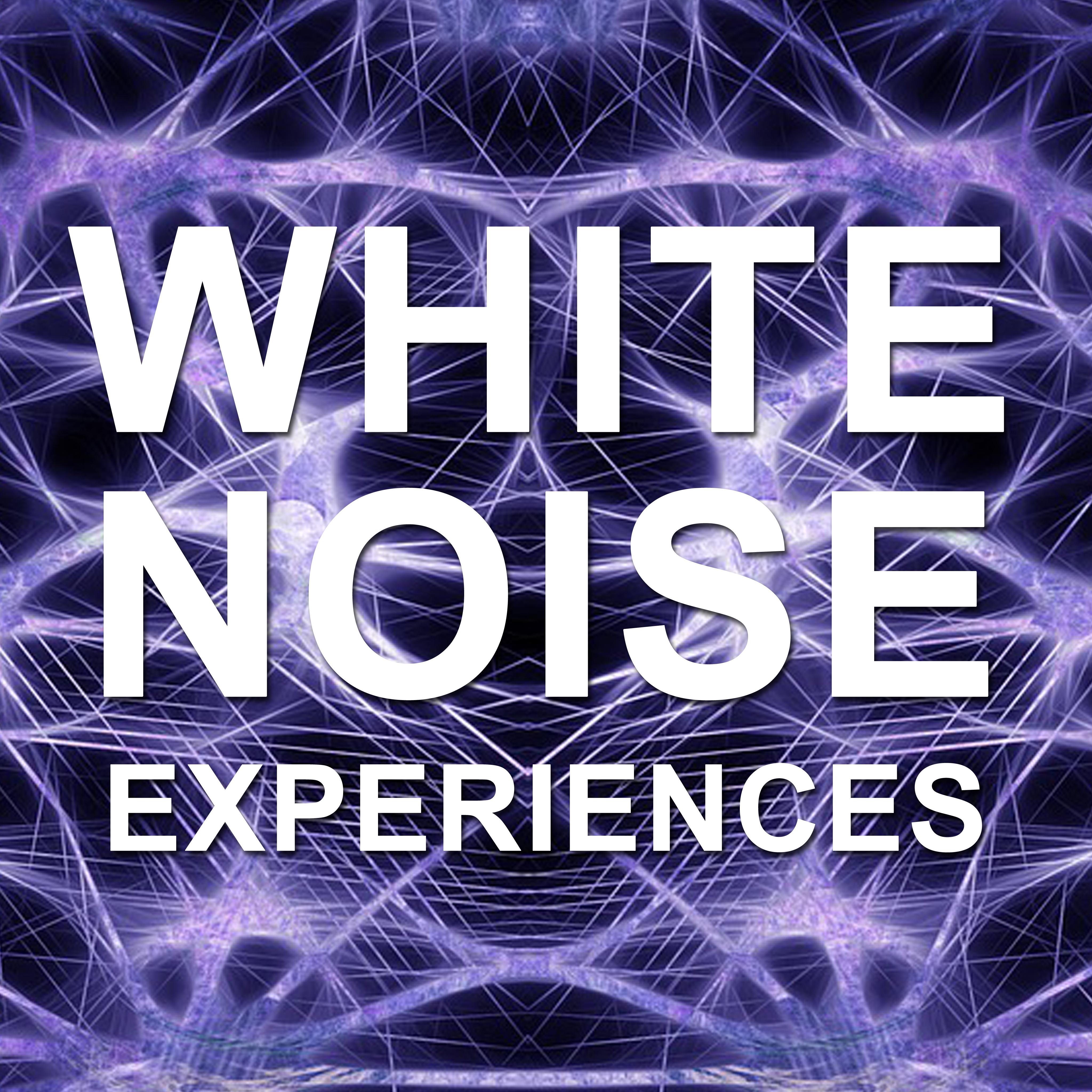 11 White Noise Experiences