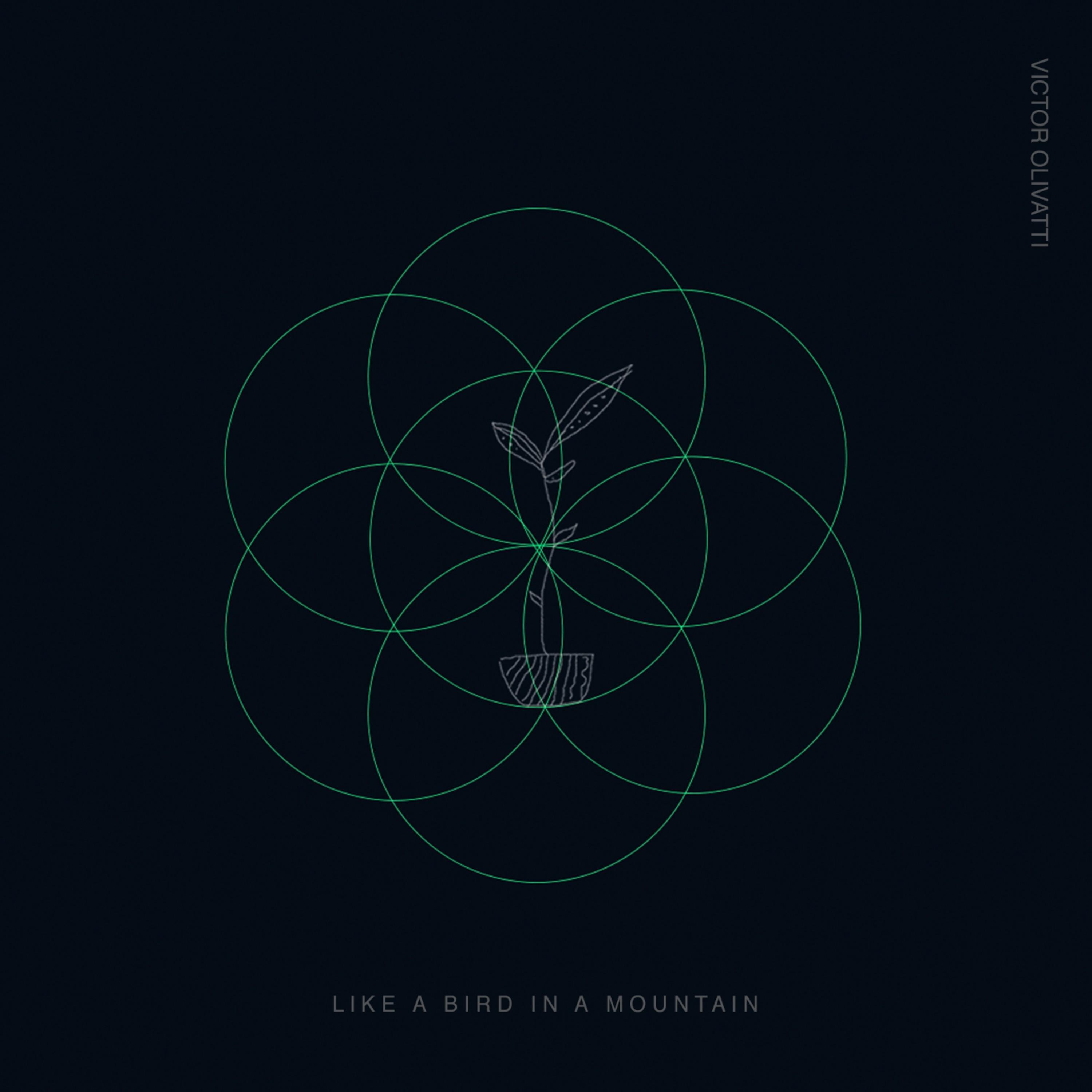 Like a Bird in a Mountain