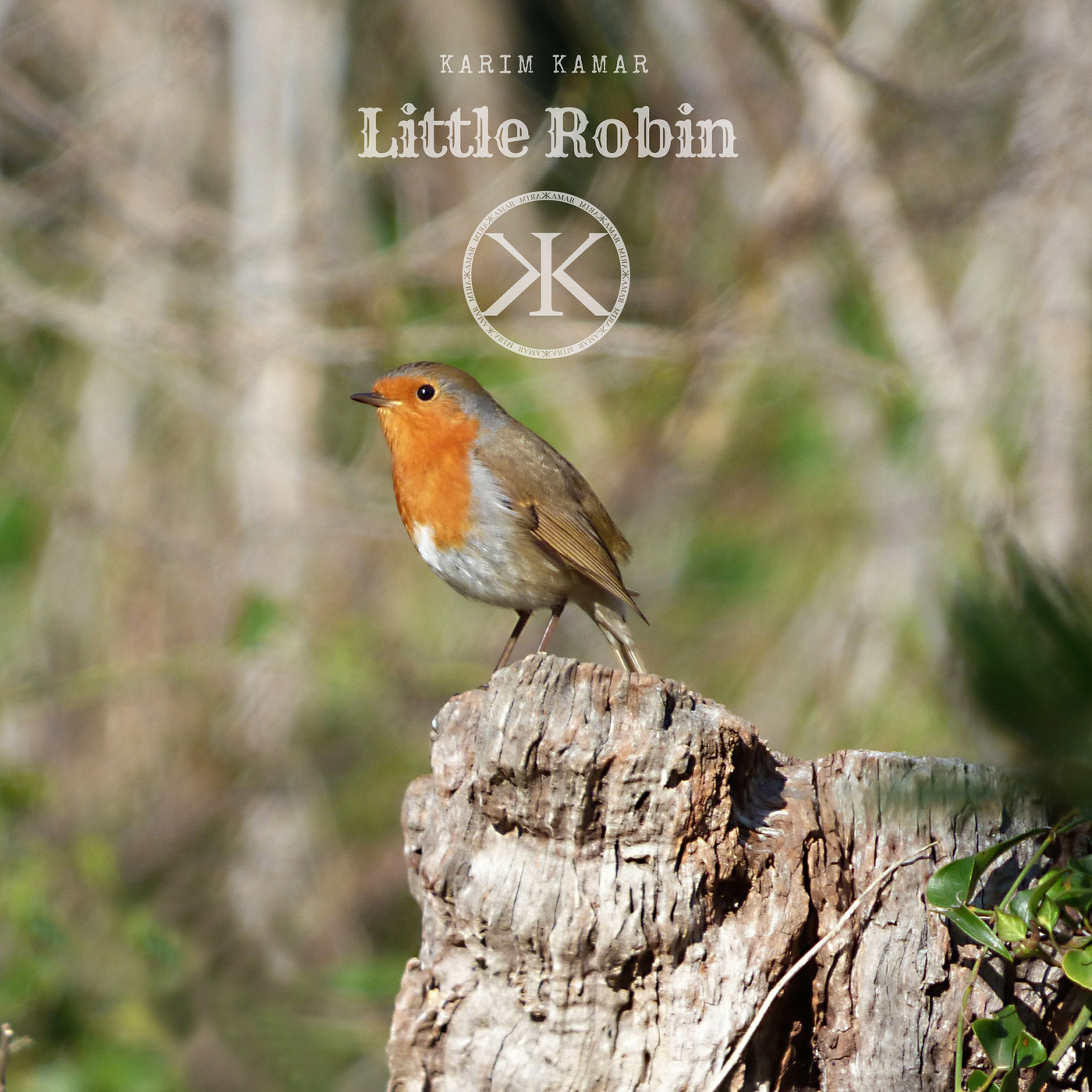 Little Robin