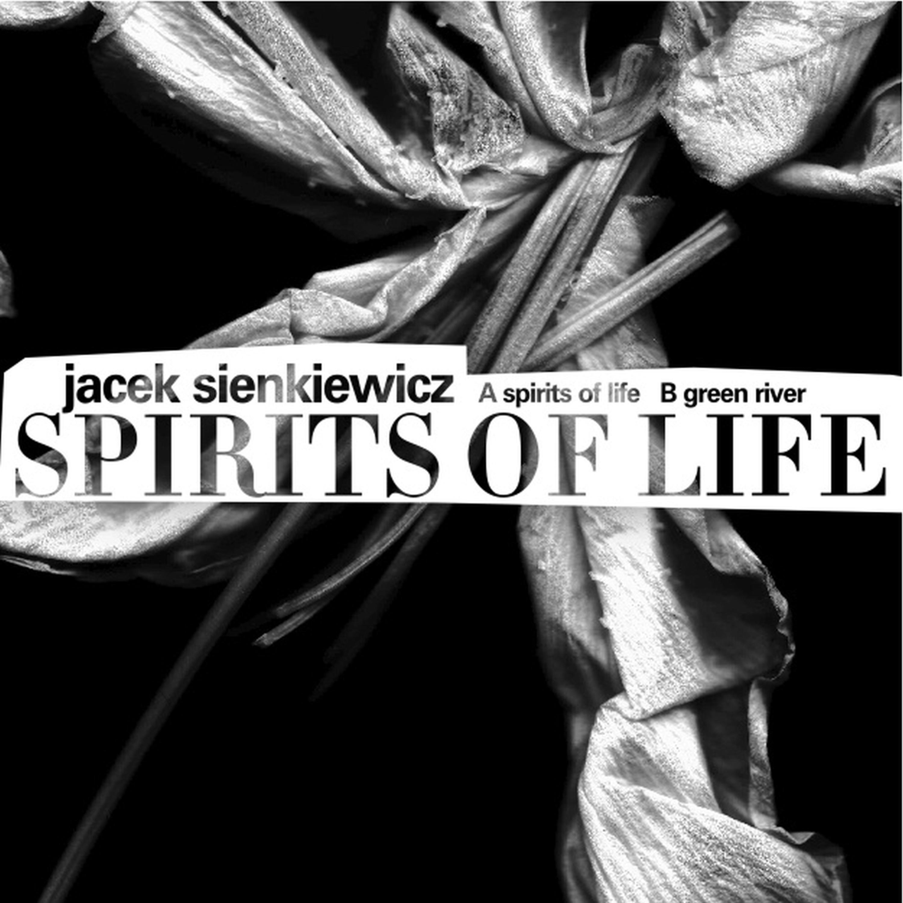 Spirits Of Life