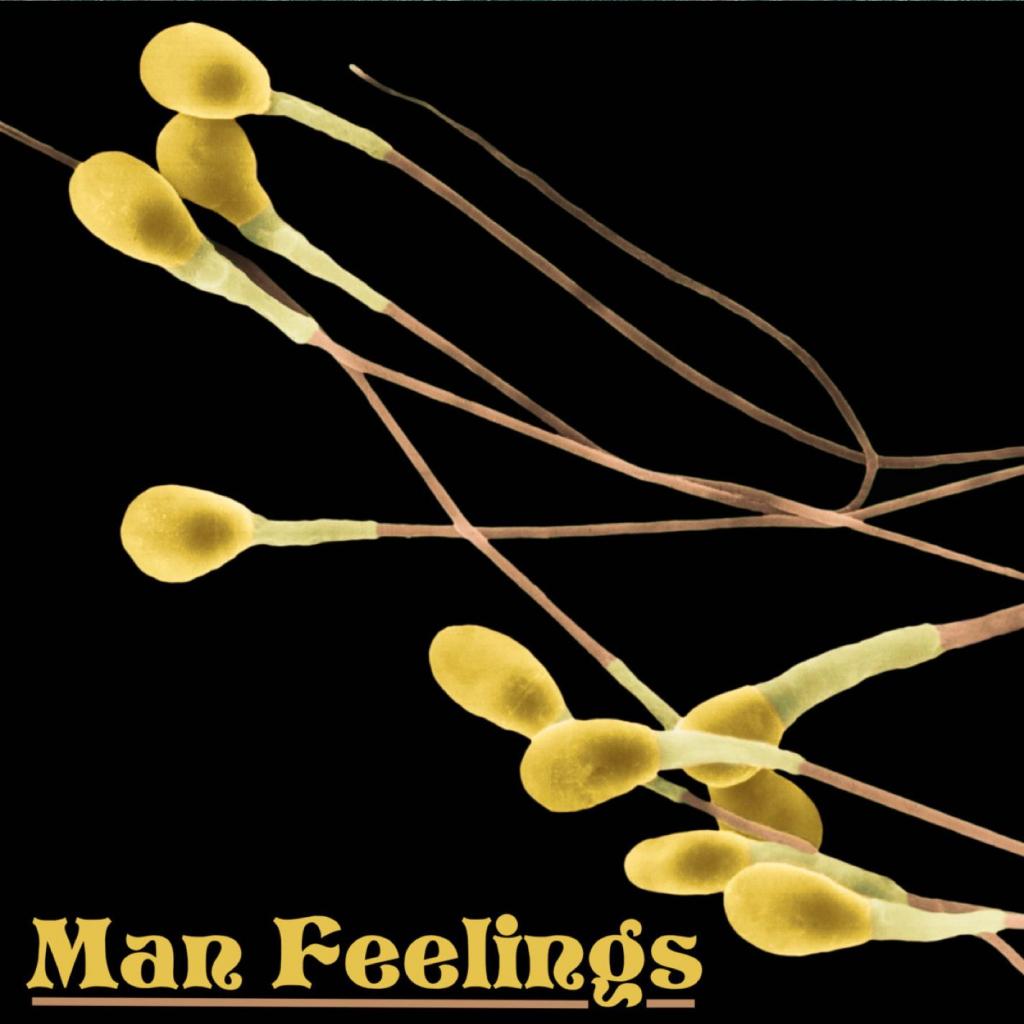 Three and a Half Men