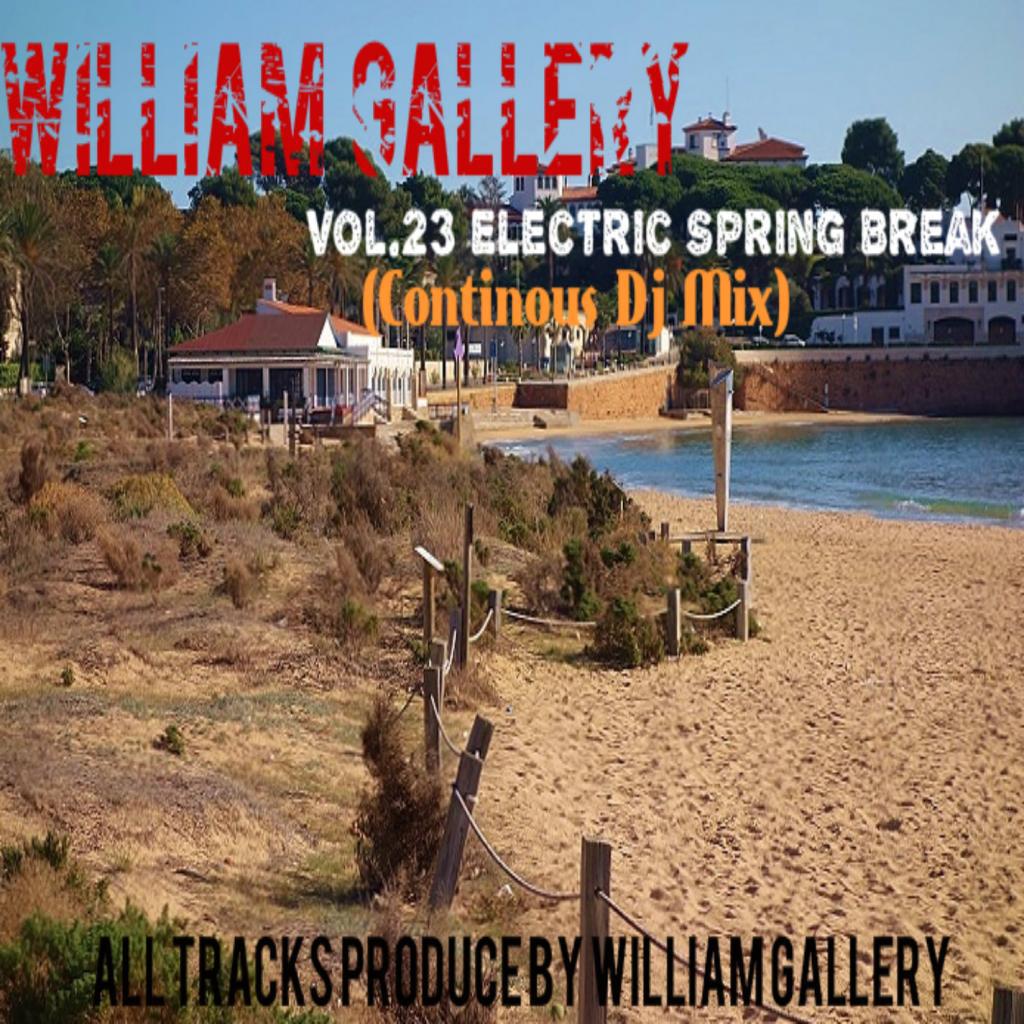 Vol.23 Electric Spring Break (Continuos Dj Mix)