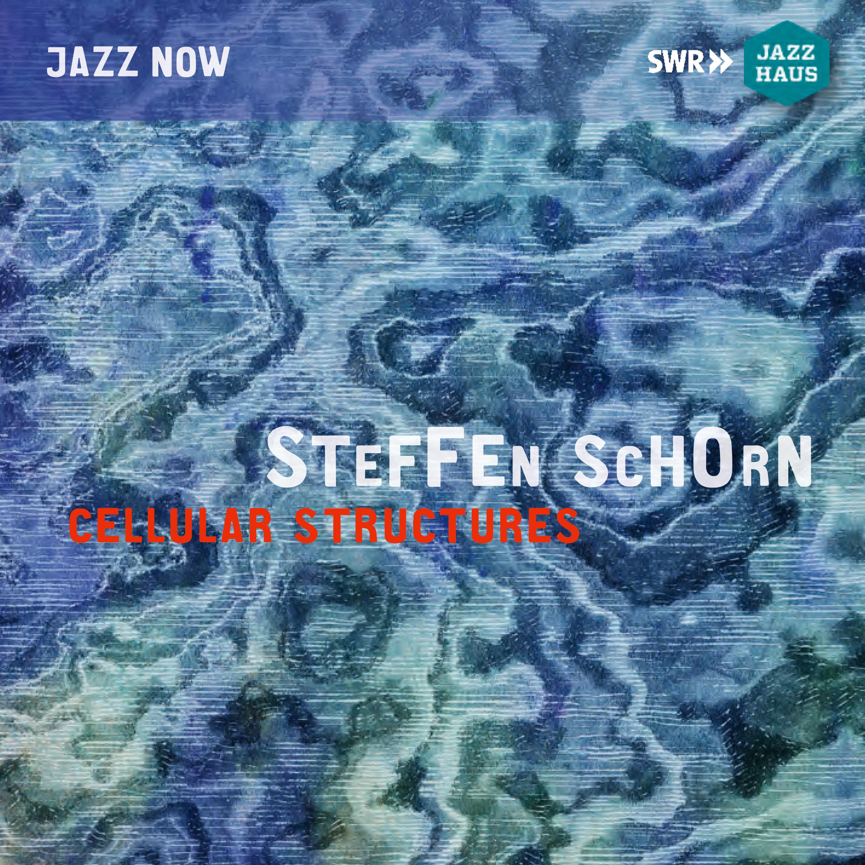 STEFFEN SCHORN ENSEMBLE / NEW JAZZ MEETING OCTET: Cellular Structures