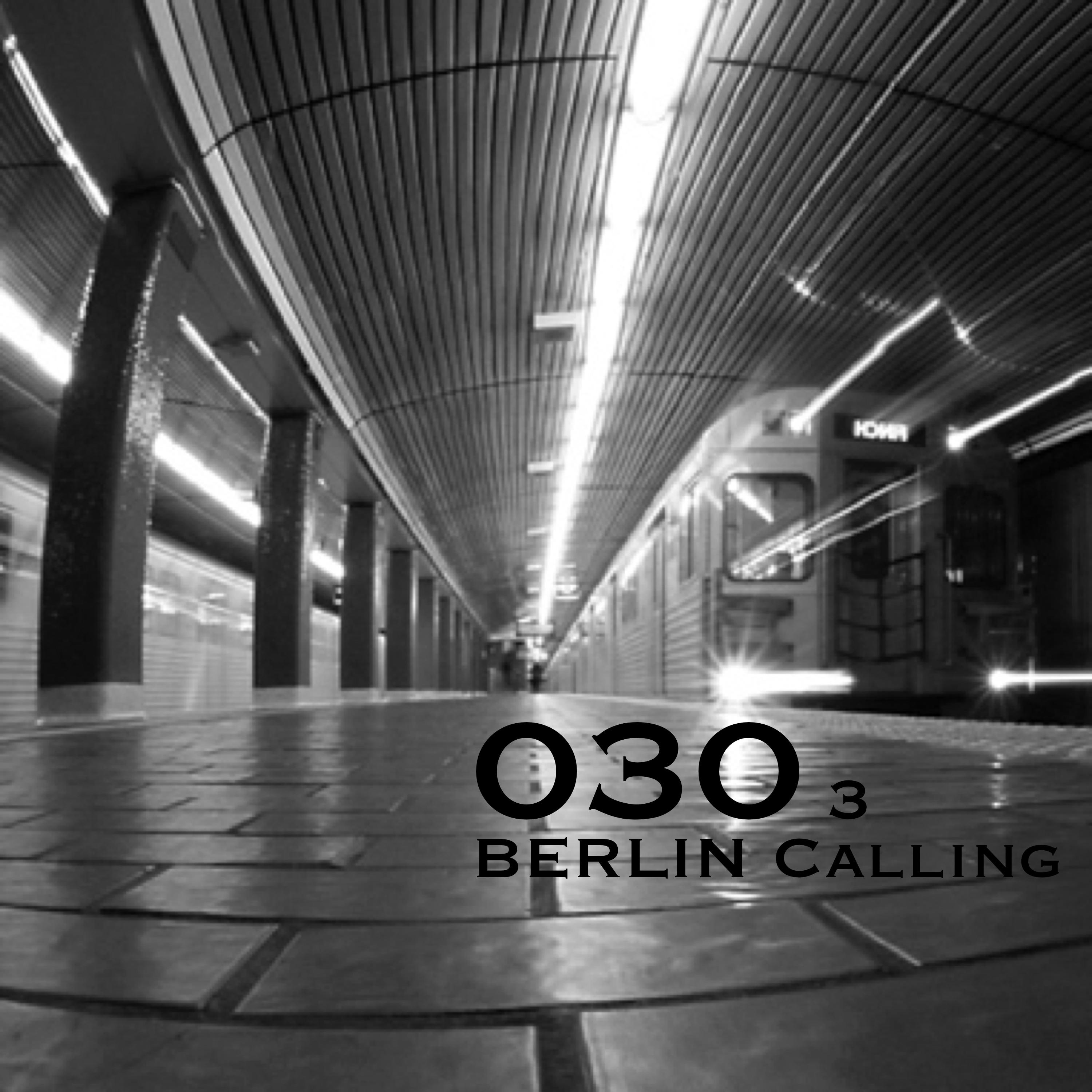 030 Berlin Calling, Vol. 3