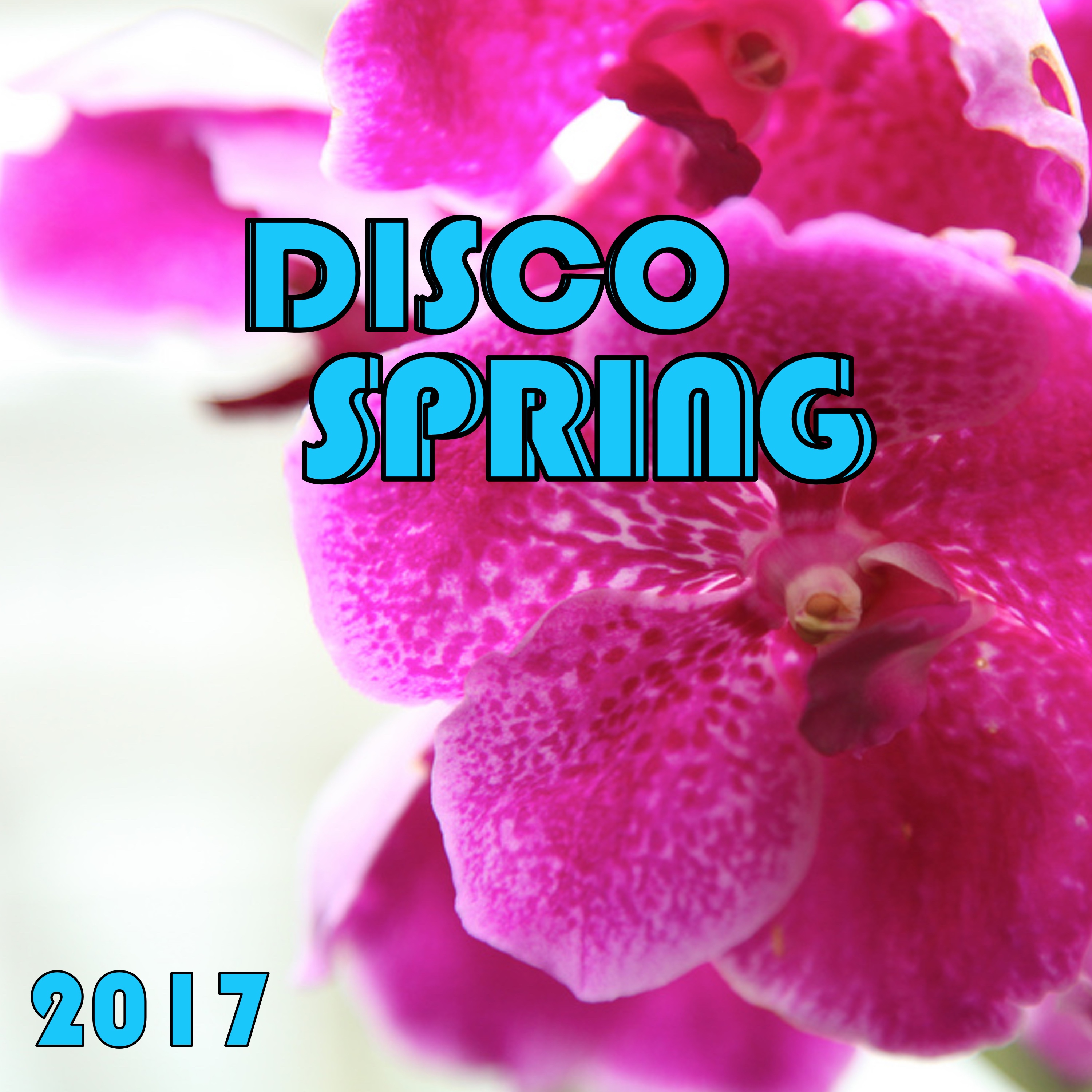 Disco Spring 2017
