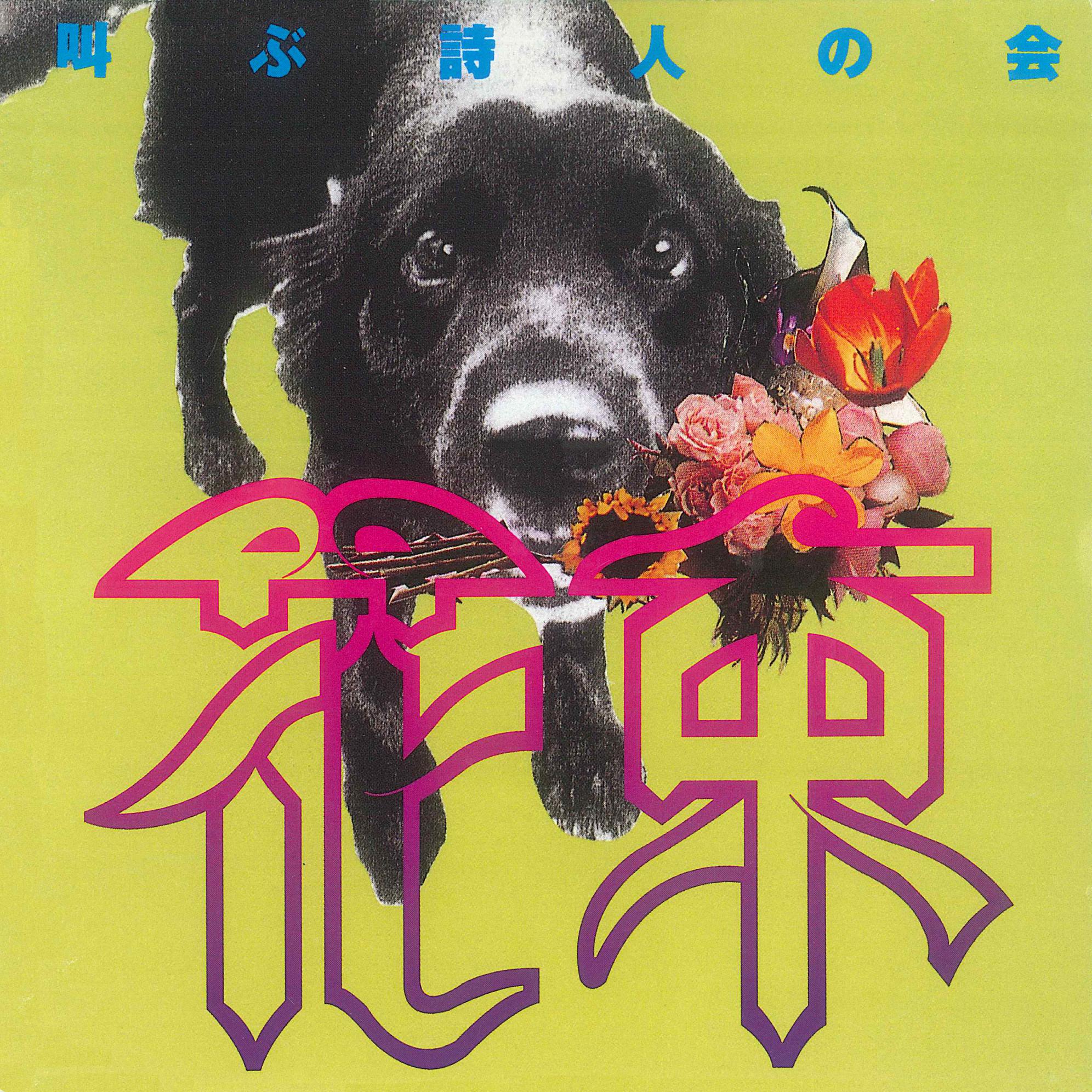 12 yue 8 ri new words version