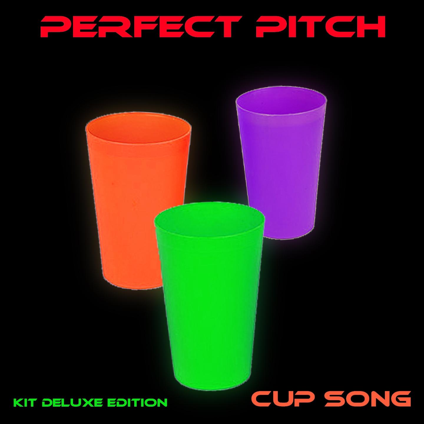 Cup Song (Instrumental Kick 128 Bpm)