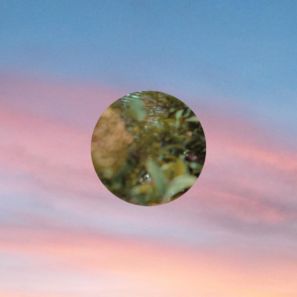 Shiny Beetles On Your Bedside