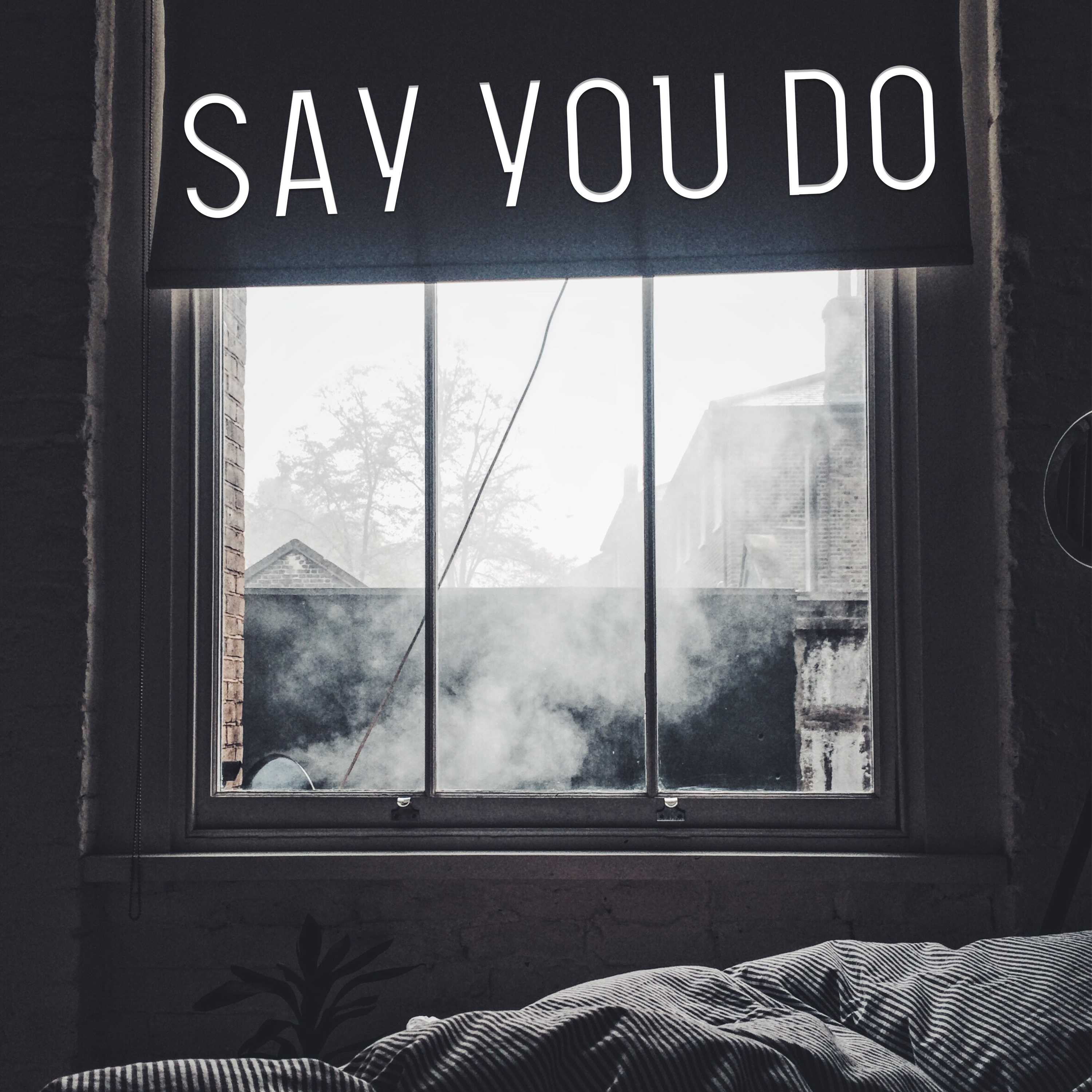 Say You Do