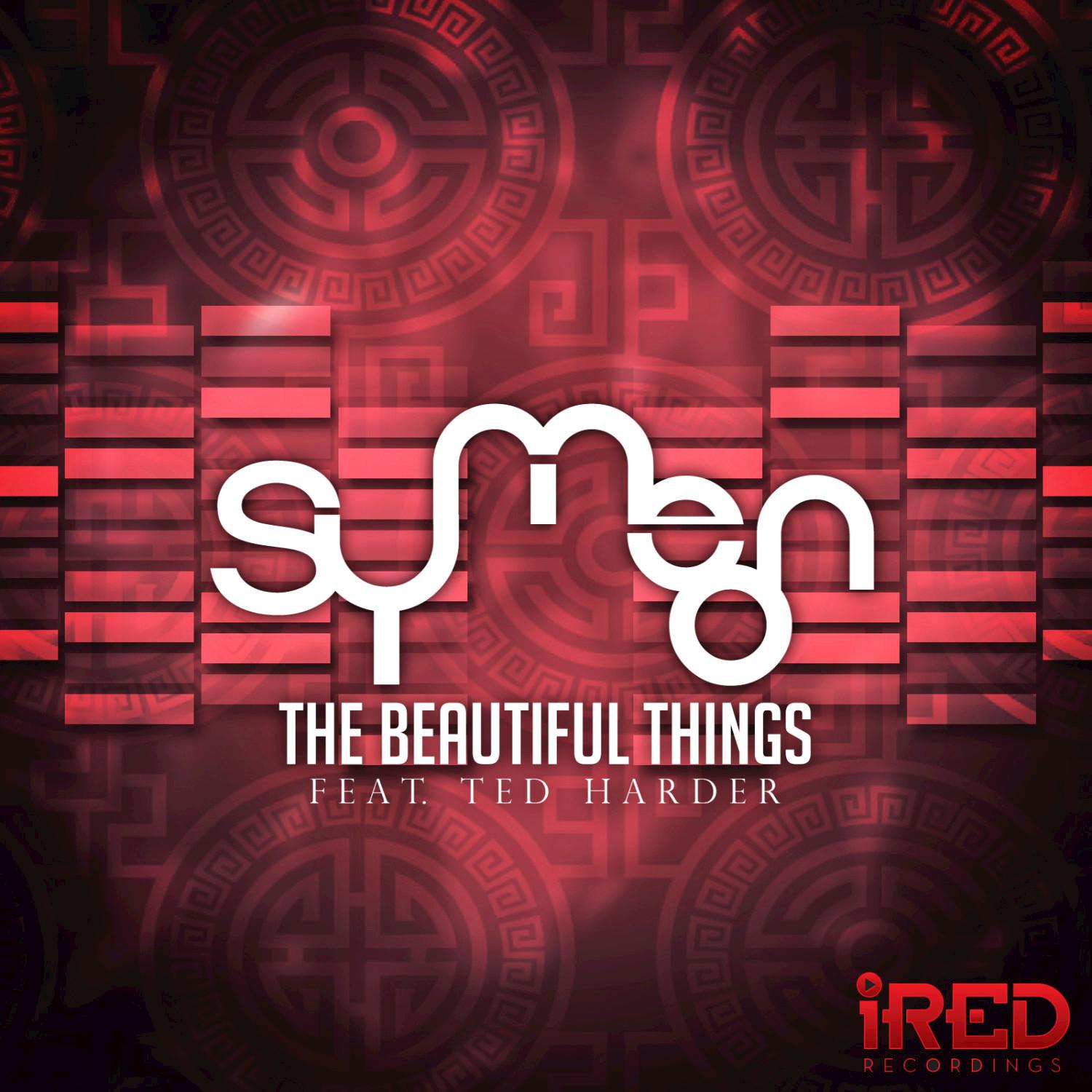 The Beautiful Things - Single