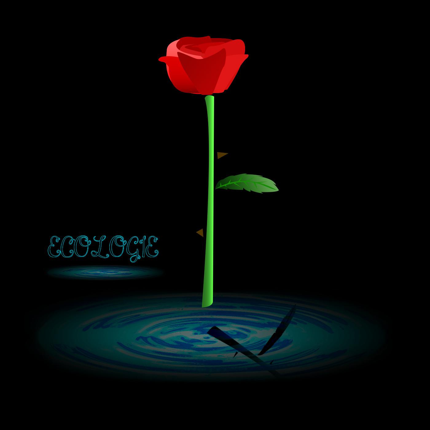 Il y a t'il des volontaires ?