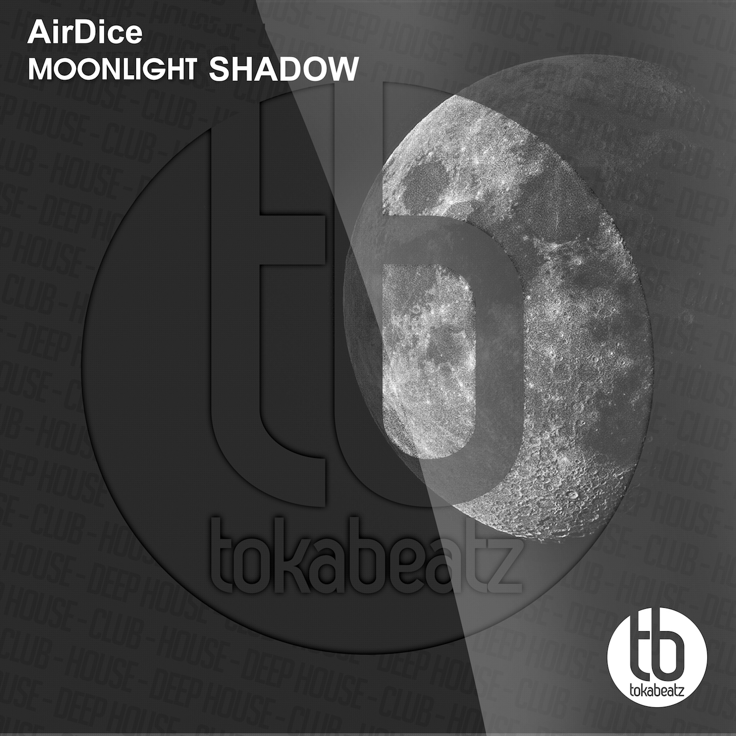 Moonlight Shadow (Extended Mix)