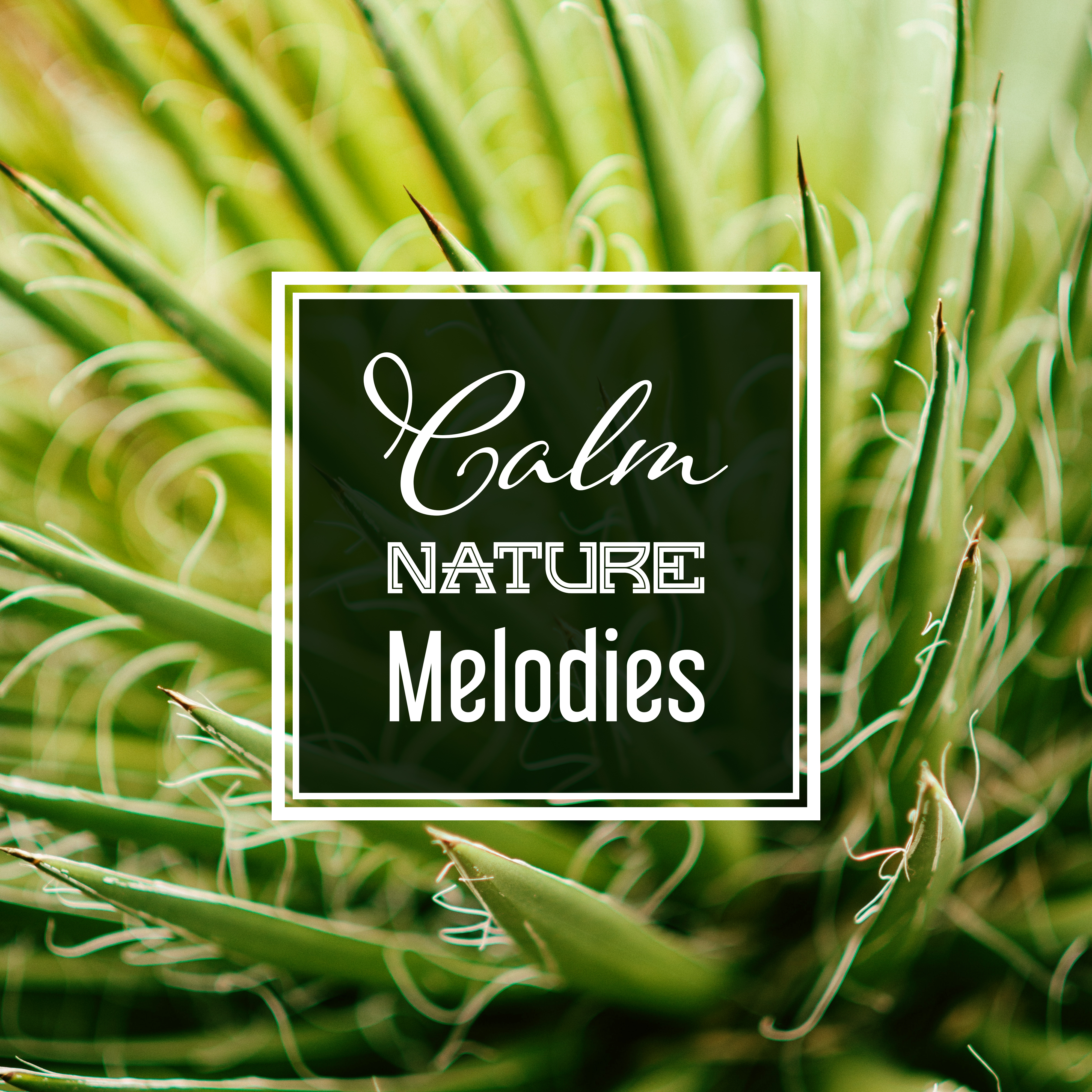 Keep Calm with Nature Sounds