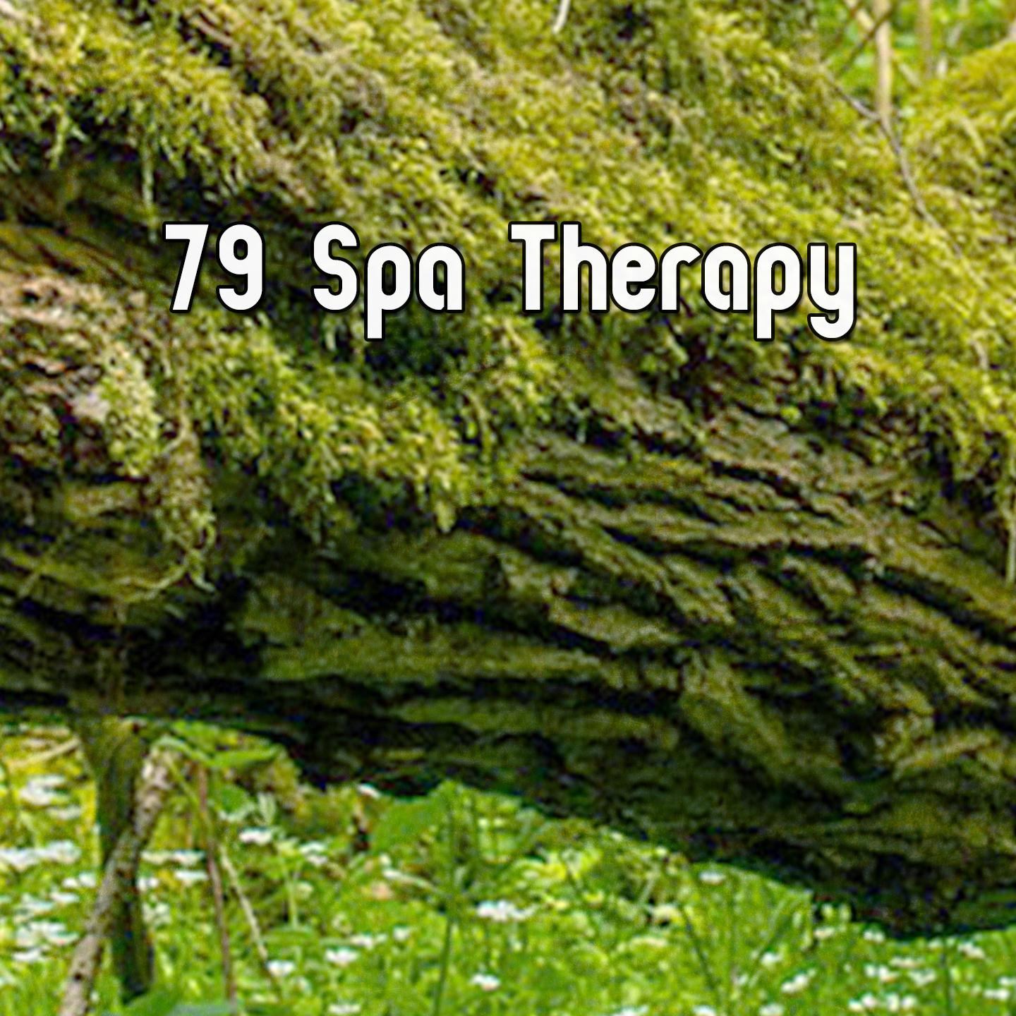 79 Spa Therapy